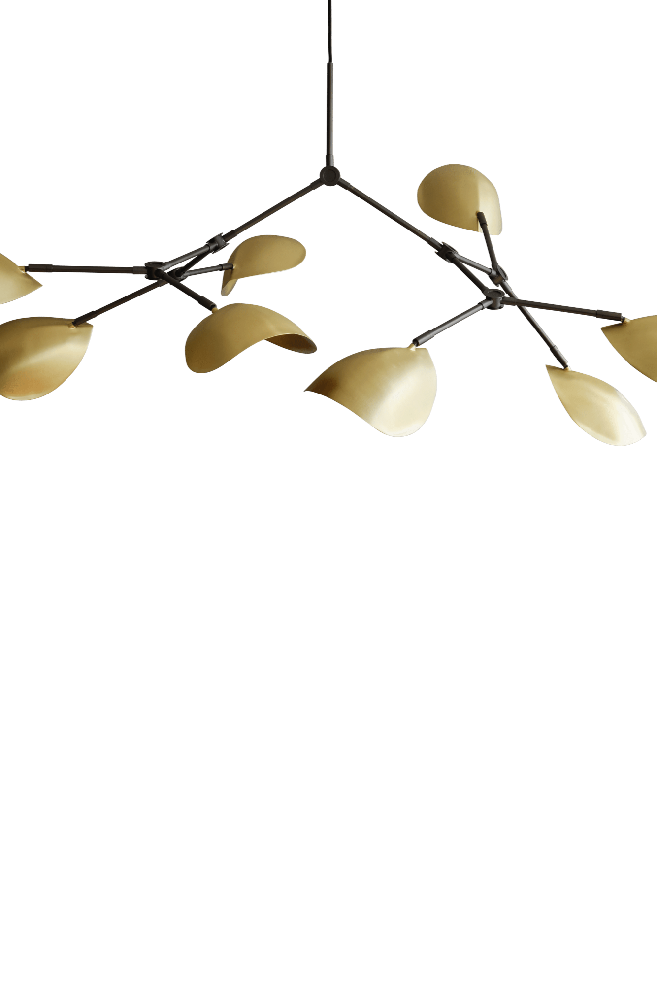Stingray Chandelier - THAT COOL LIVING