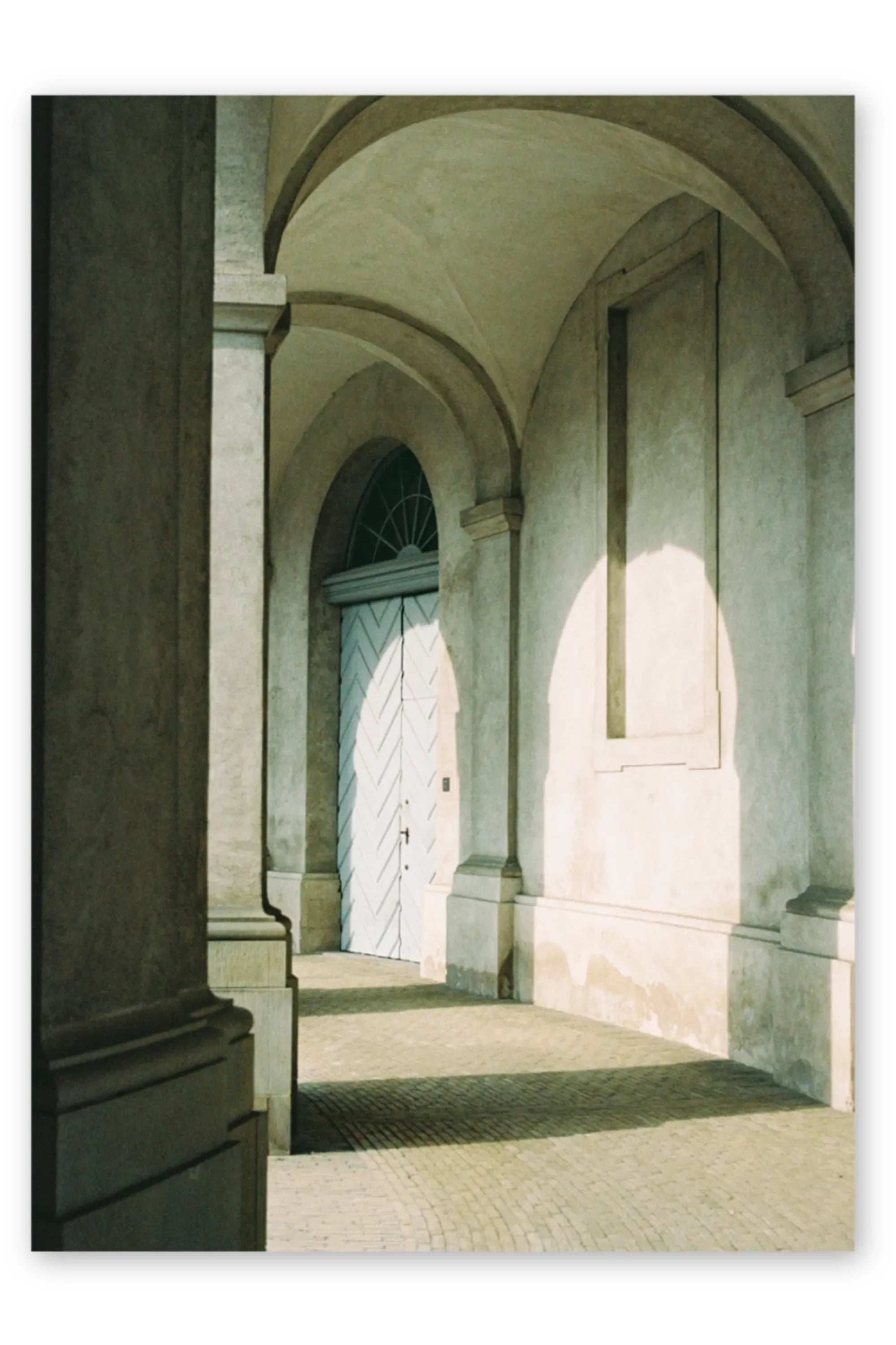 Morning Sun - Art Print