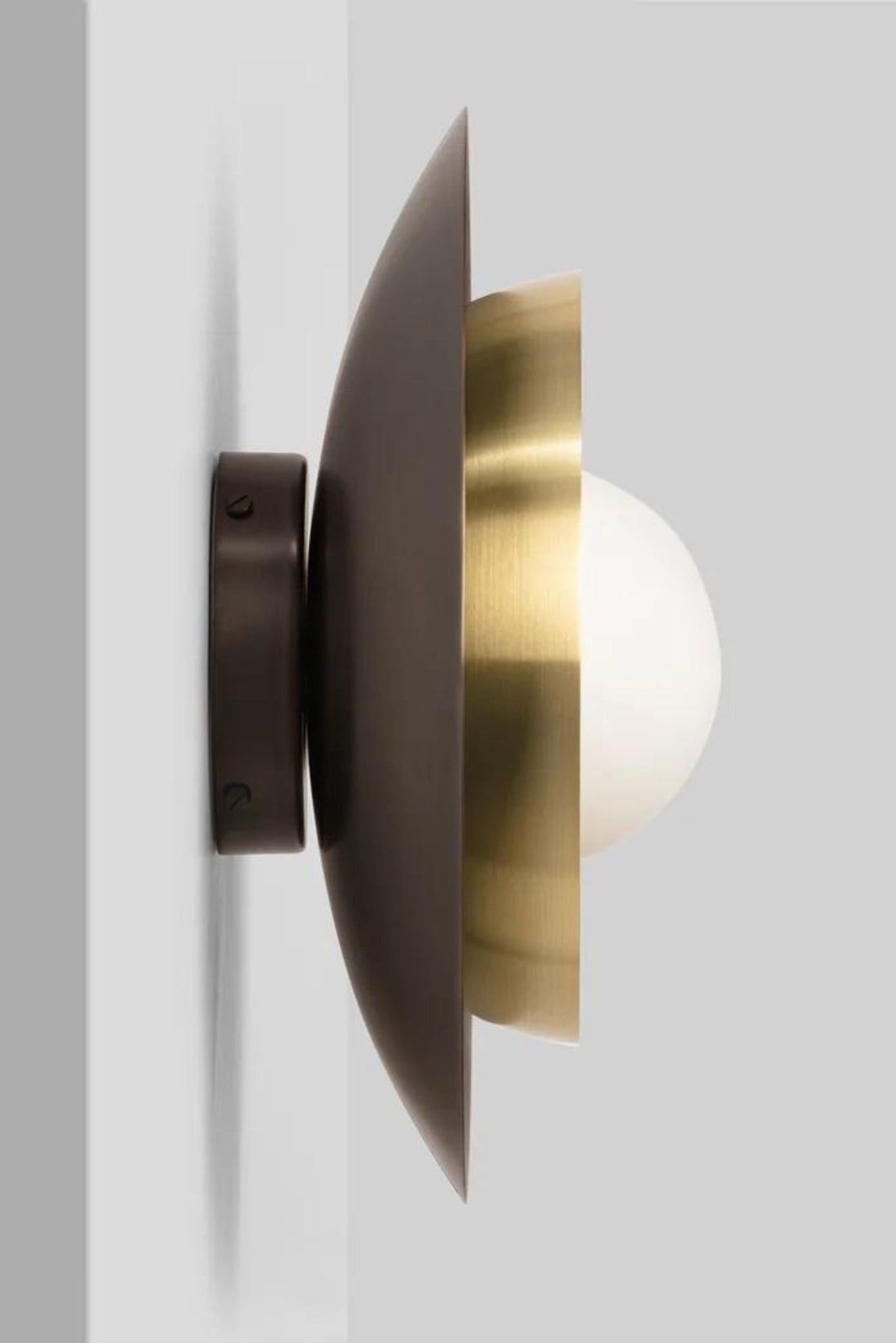 Carapace Wall Lamp - THAT COOL LIVING