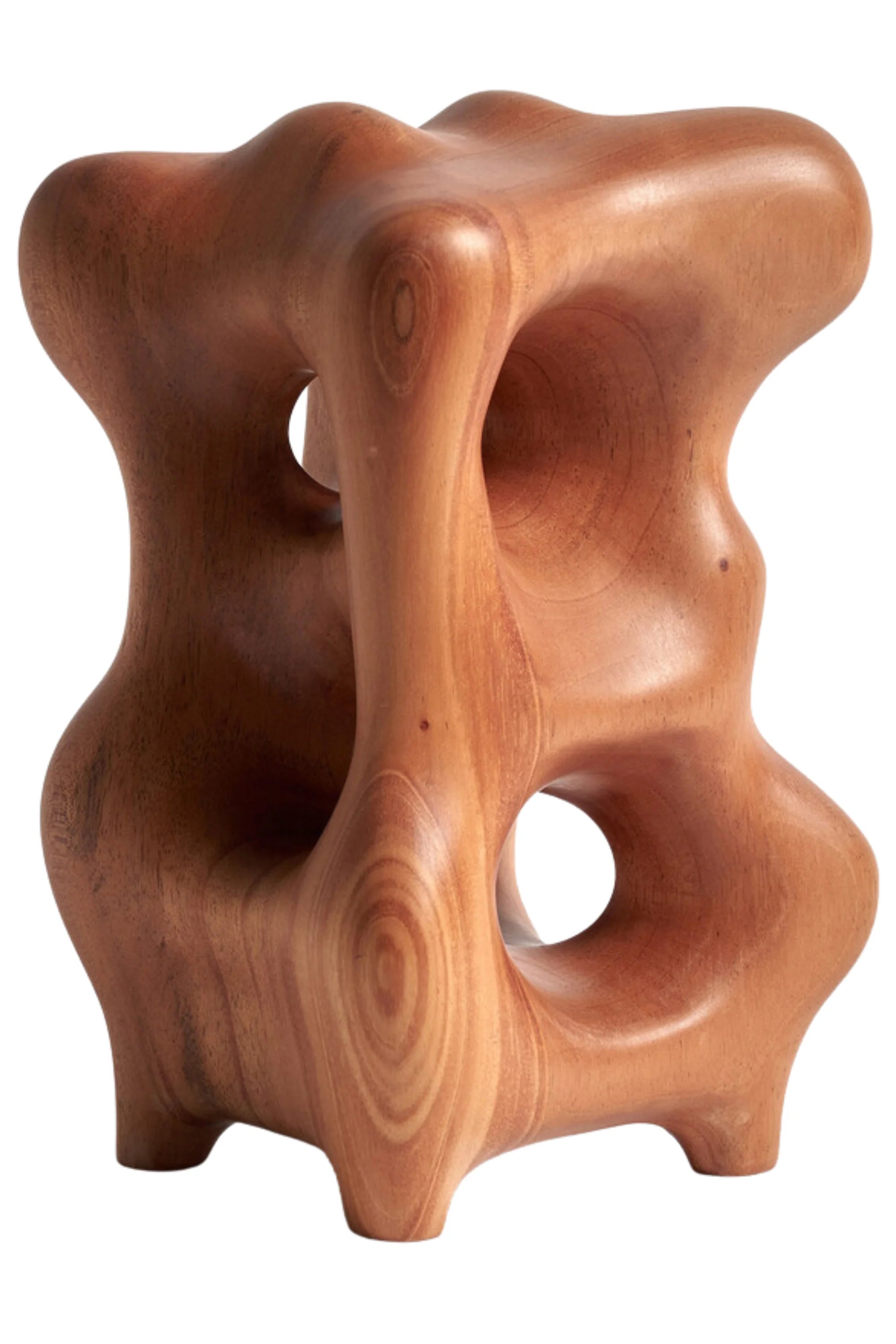 Natural Organic Sculpture