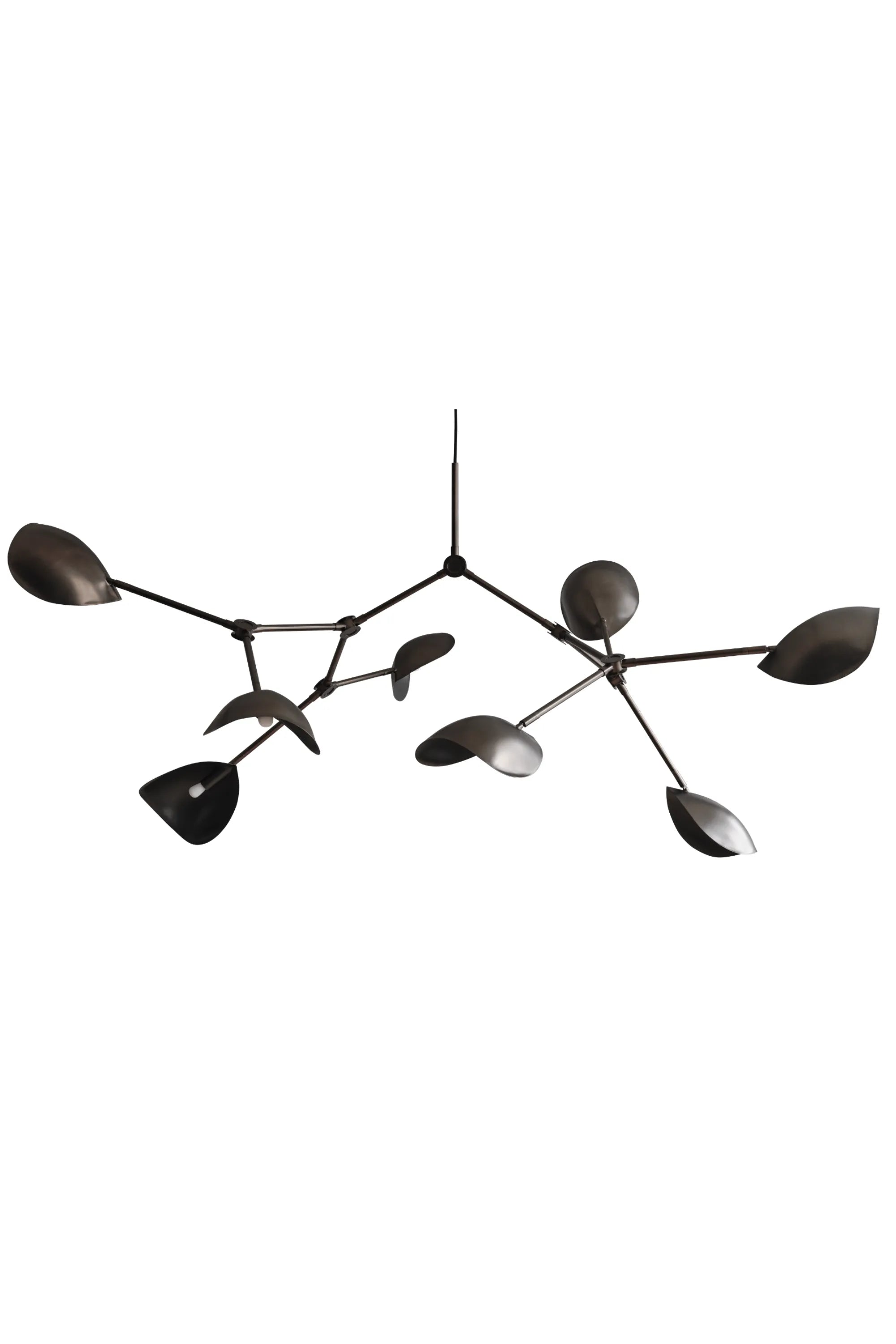 Stingray Chandelier - THAT COOL LIVING