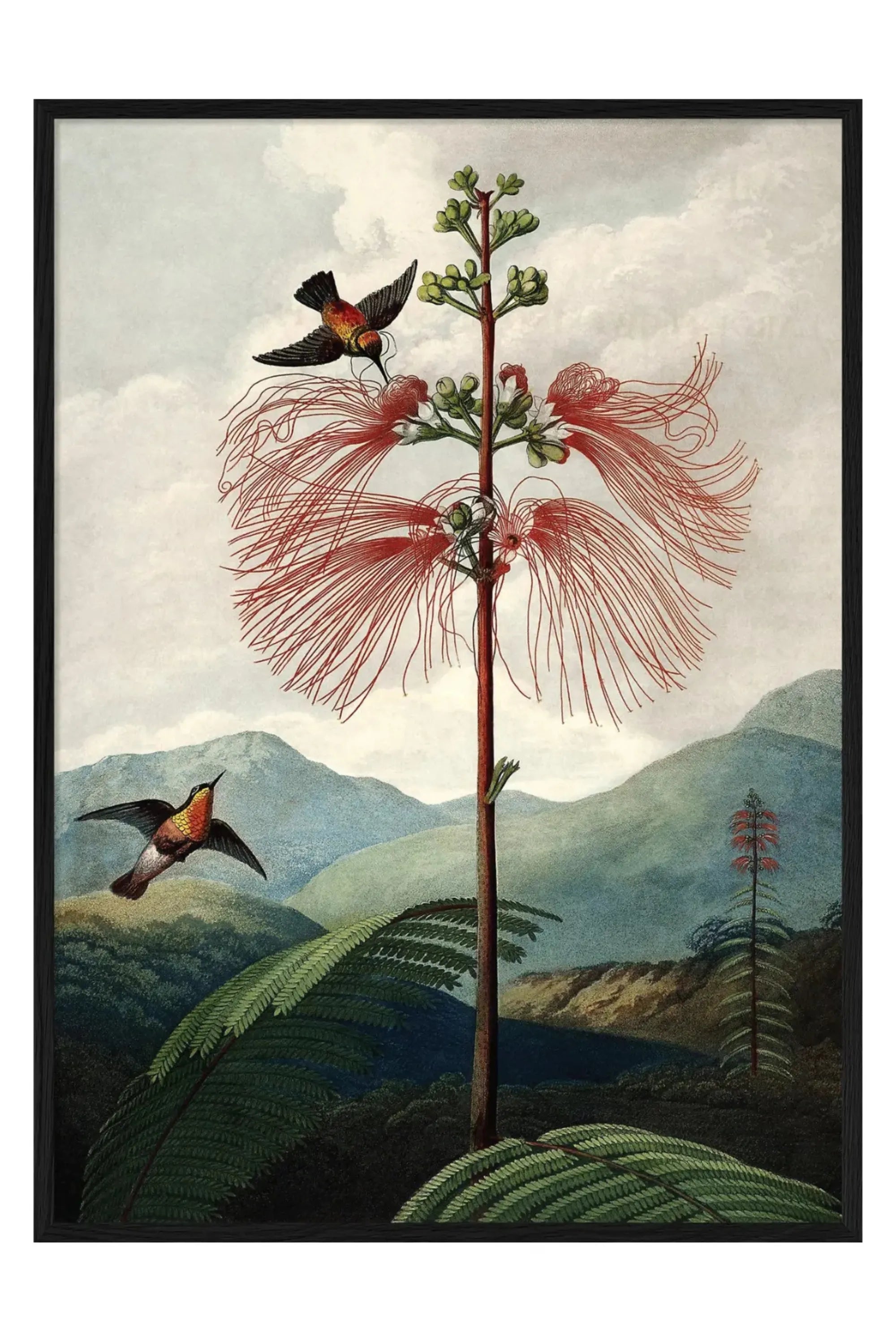 The Tree of Flowers