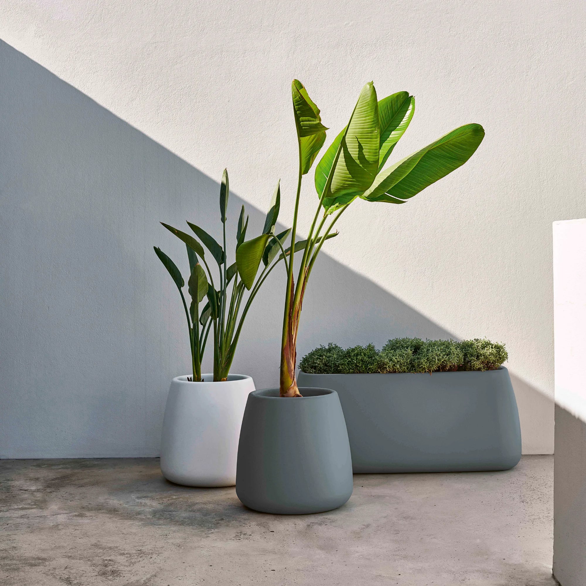 Sahara Outdoor Planter 5 - THAT COOL LIVING